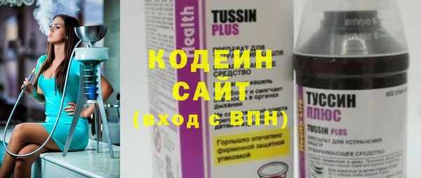 гашик Алексин