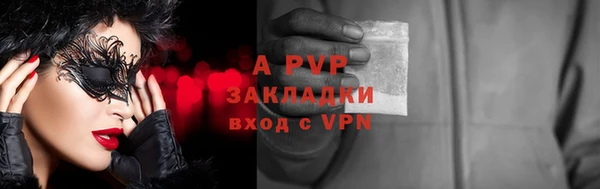 гашик Алексин