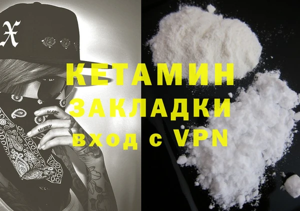 гашик Алексин