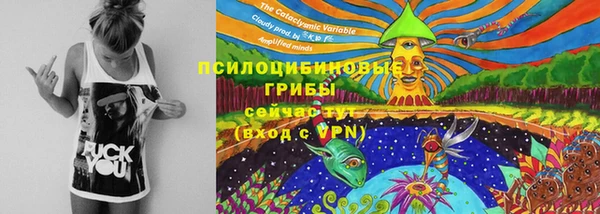 гашик Алексин