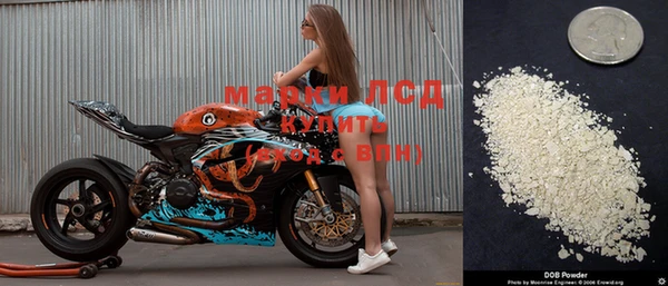 молекула духа Каменногорск