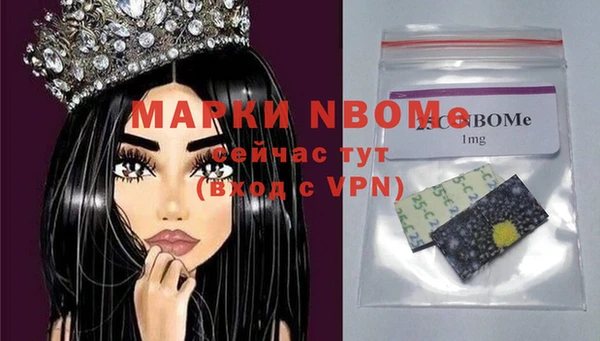 гашик Алексин