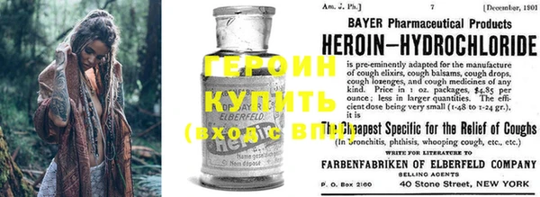 гашик Алексин
