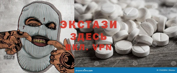 гашик Алексин