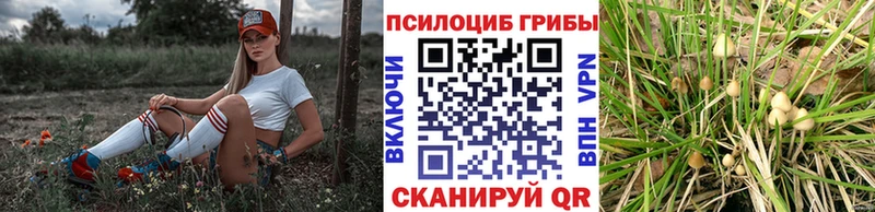 продажа наркотиков  Бердск  Галлюциногенные грибы MAGIC MUSHROOMS 